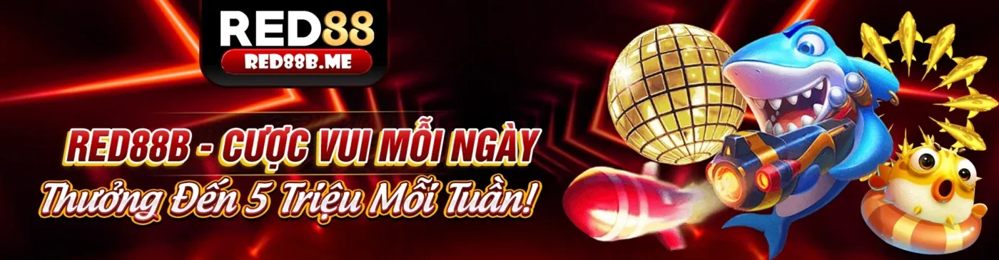 Hình ảnh chính hướng dẫn người mới bắt đầu tại Sòng bạc 888slot